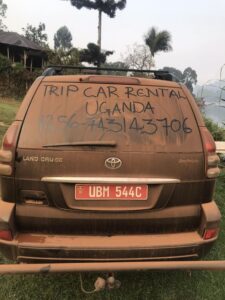 Best car rental prices