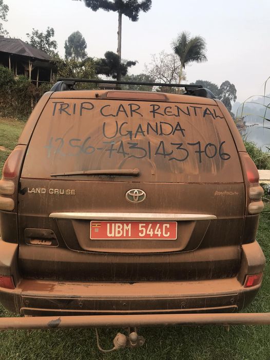 Best car rental prices