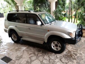 SUV CARS