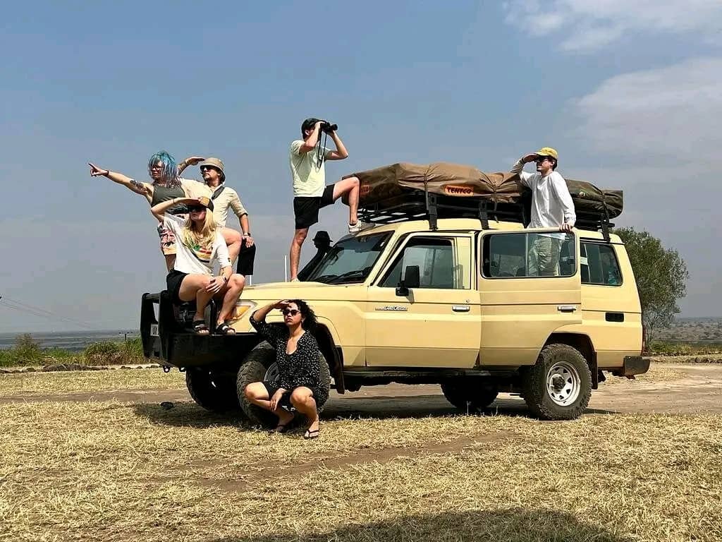 safari car rental